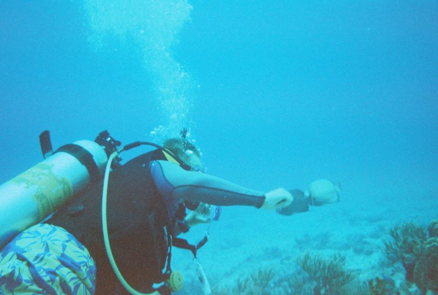 Cozumel Diving