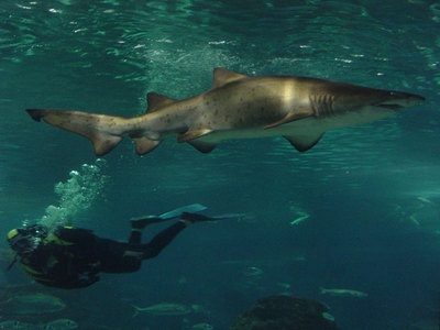 L`Aquarium de Barcelona