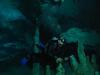 Cave Diving in Mexico