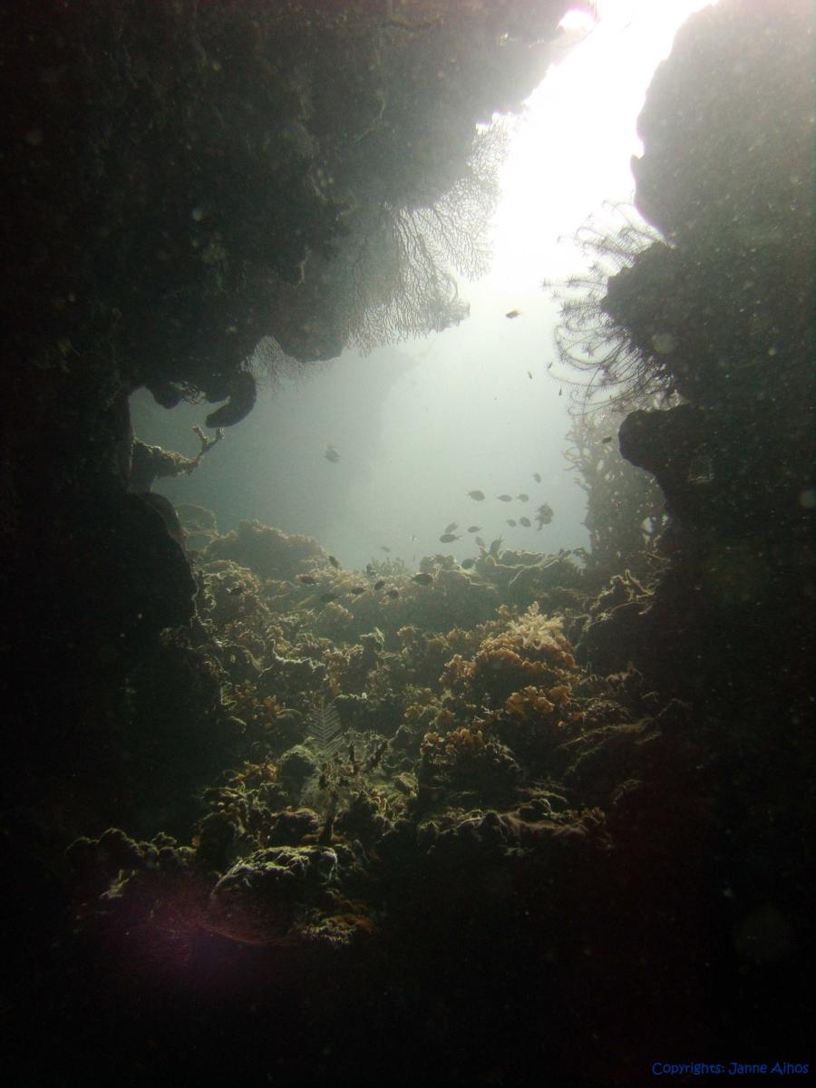 Menjangan Island Marine park, Bali