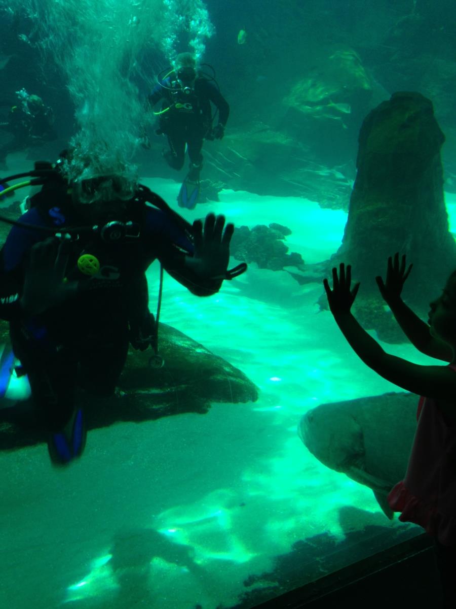 Georgia Aquarium - Me interacting with a child