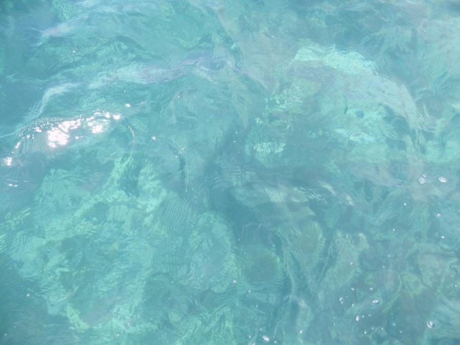 Beautiful water out at reef in Key West