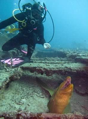 Sea Emporer Wreck