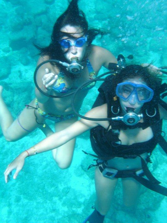 beach dive in mexico