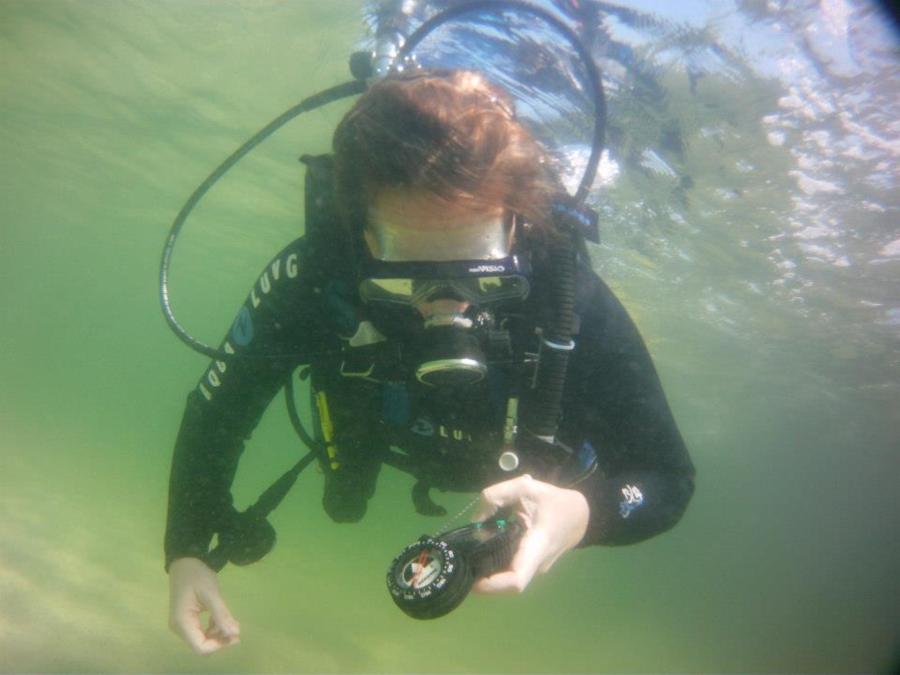 Jetties dive