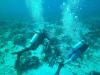 Cozumel Diving