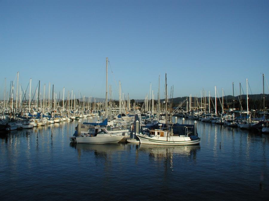 Monteray Harbor