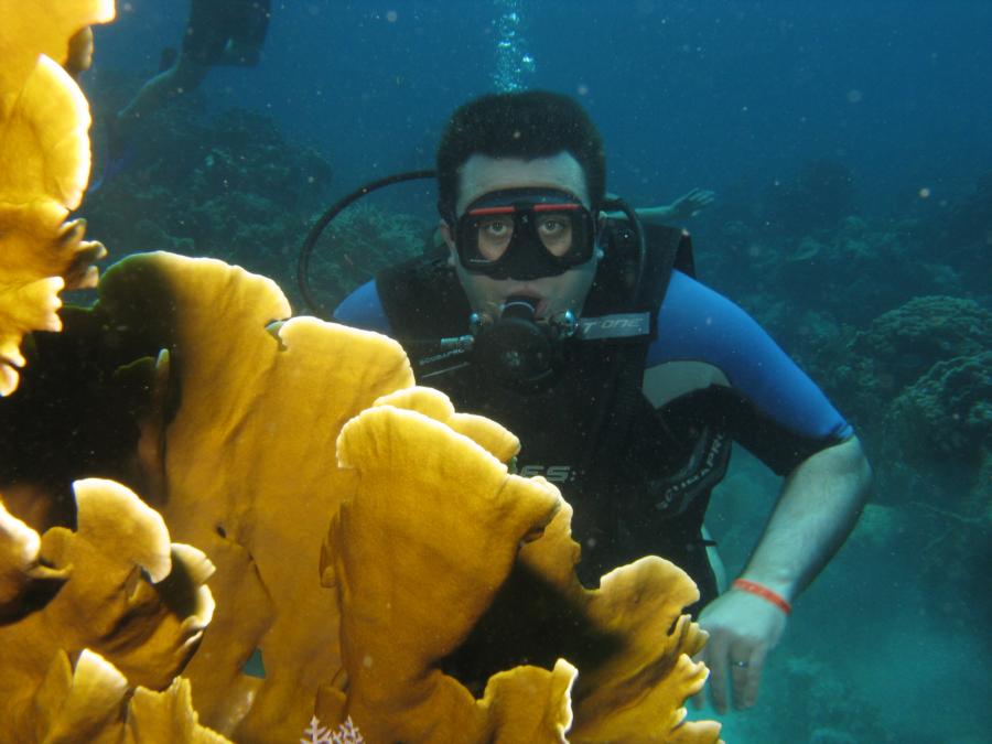 Playa Coral - Cuba