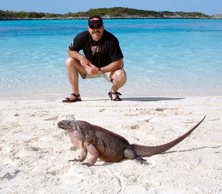 Bahamian Lizards