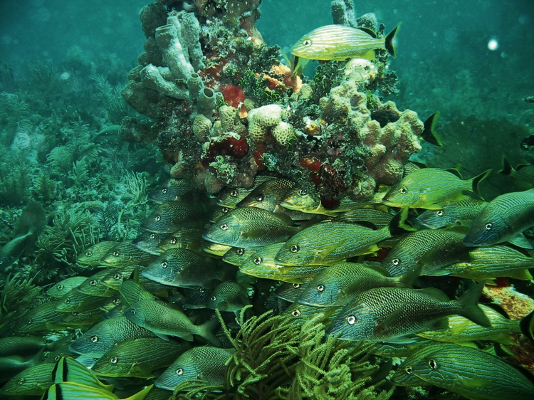 Huatulco, Mexico