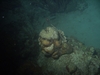 During Night dive in Culebra