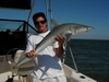 My dad and a shark in the Gulf of Mexico.