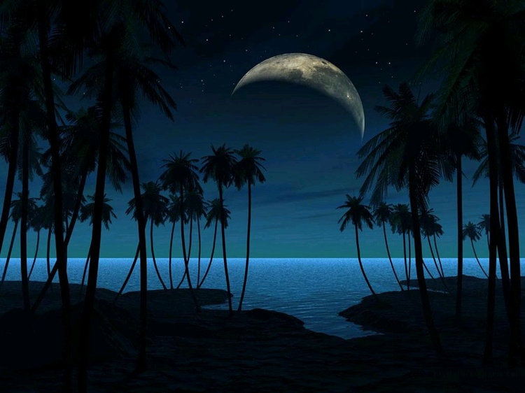 Tropical moon