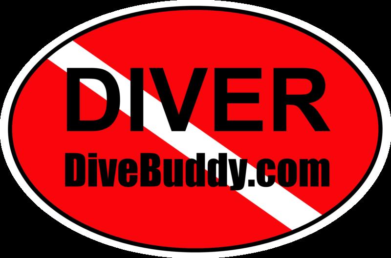 DiveBuddy.com oval bumper sticker
