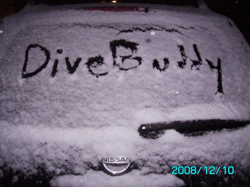 DiveBuddy in snow on car in Texas.