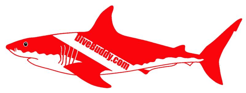 DiveBuddy.com Shark Image
