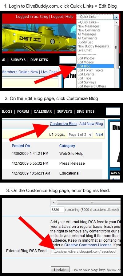 How to have your external blog rss feed imported into DiveBuddy.com.