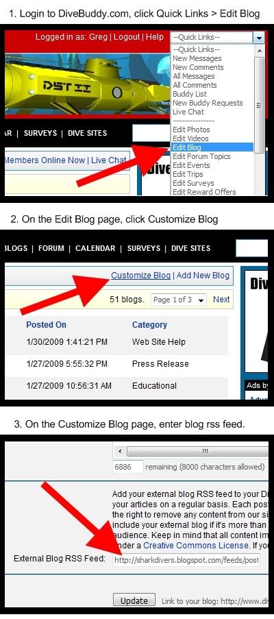 How to have your external blog rss feed imported into DiveBuddy.com.