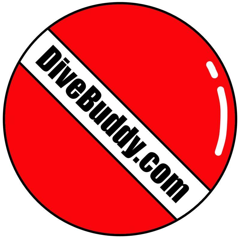 DiveBuddy.com round dive flag sticker