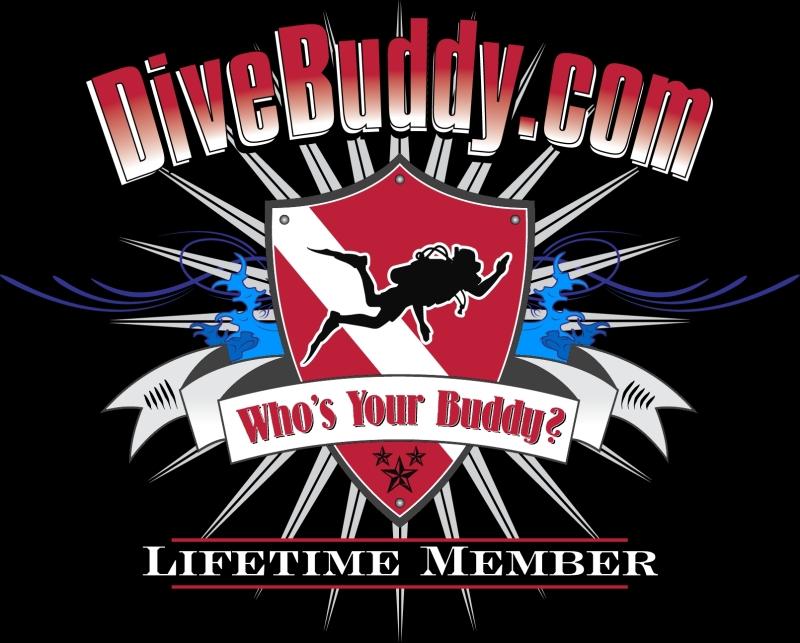 DiveBuddy.com LifeTime Member t-shirt design with more color