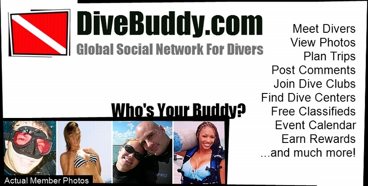 Final DiveBuddy ad...seriously.