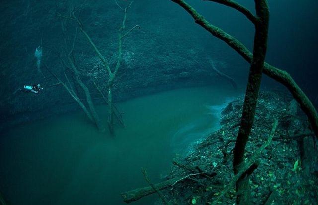 Deep Underwater River in Cenote Angelita, Mexico (hydrogen sulphide)