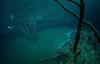 Deep Underwater River in Cenote Angelita, Mexico (hydrogen sulphide)
