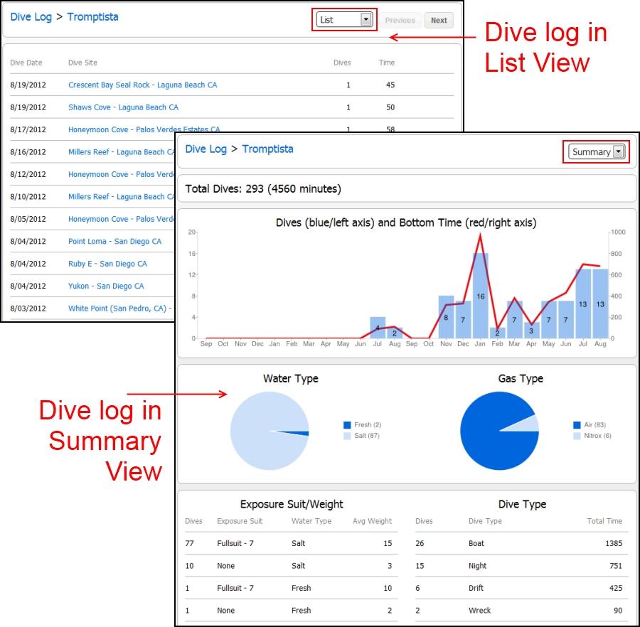 Maintain your dive log on DiveBuddy (list and summary view)