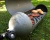 The Scuba Tank Grill - good use for old air tanks