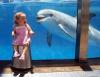 Little girl freaked out by dolphin