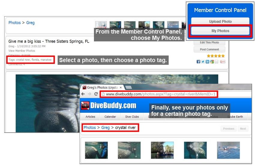 How to use Photo Tags on DiveBuddy