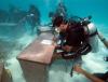 Underwater Meeting of Scuba Divers in the Maldives