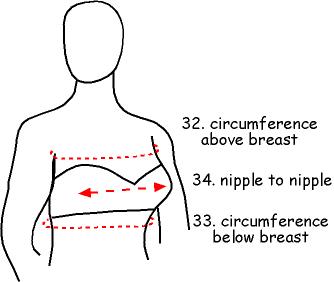 Custom Wetsuit Measurements - Why do they need to know nipple distance?