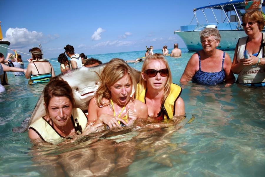 Photobomb Stingray