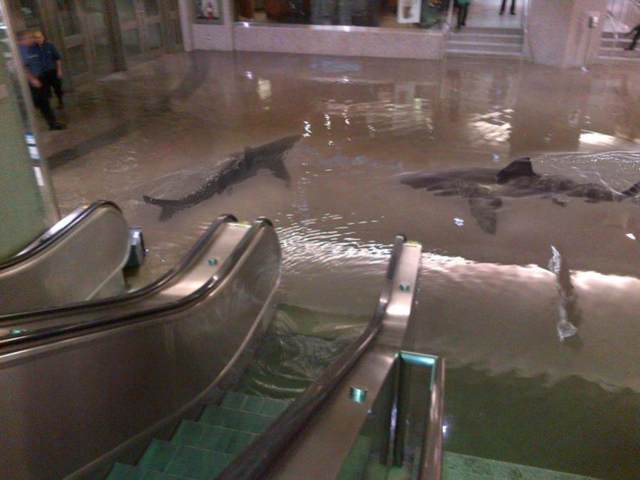 Toronto’s Union Station Flooded - Sharks may be photoshopped