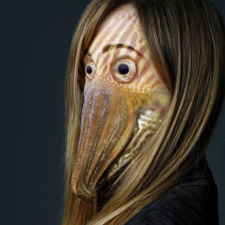 Cuttlefish Human