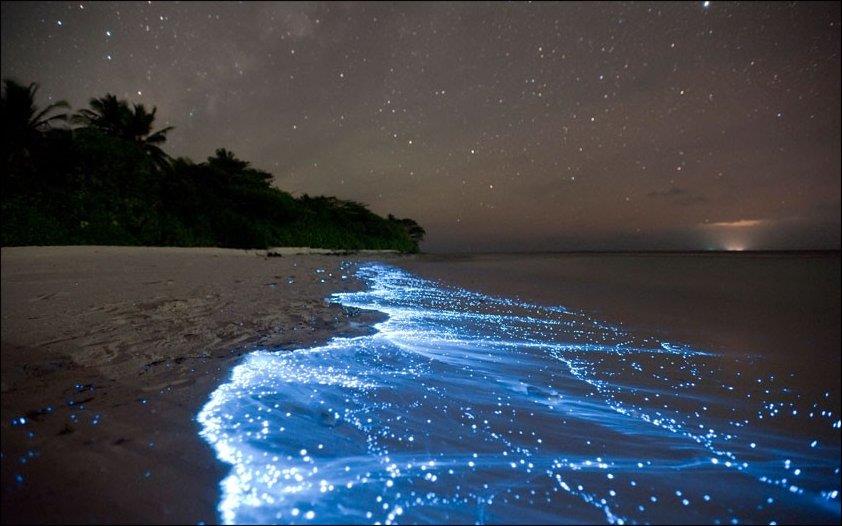 Night ocean scene with florescent waves