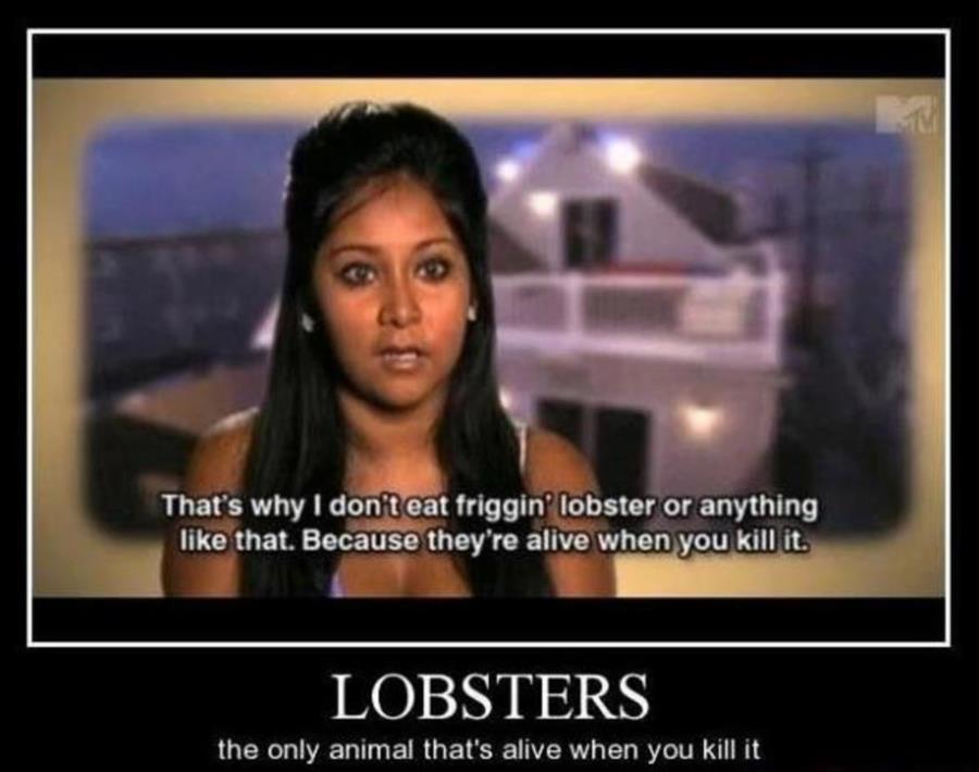 Lobsters, the only animal that’s alive when you kill it