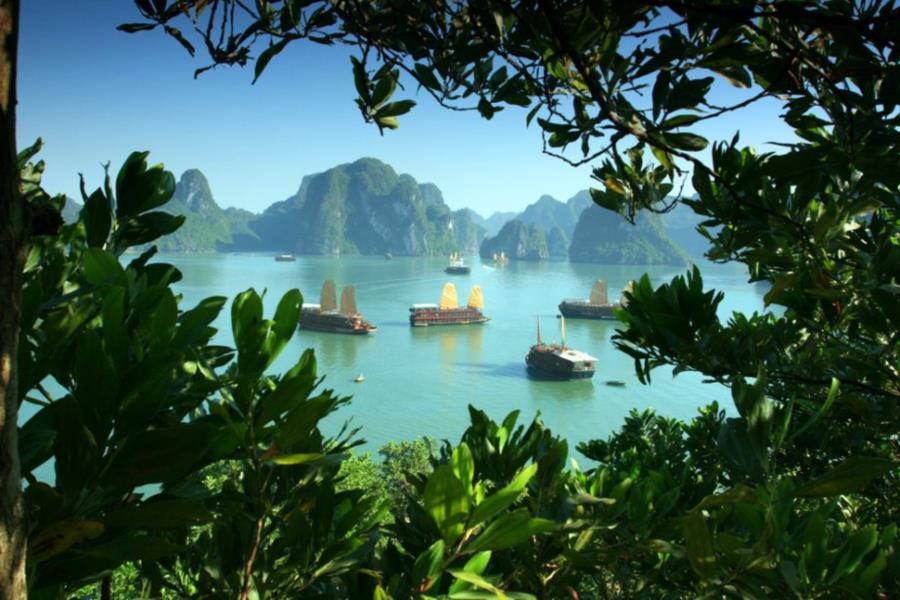 Halong Bay - Vietnam