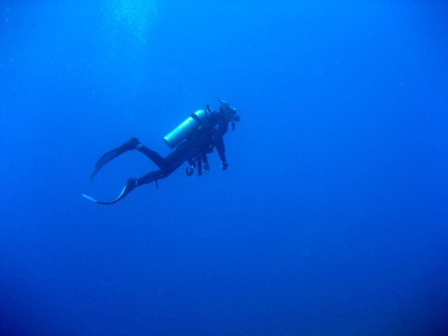 Diver