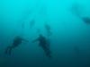 diving