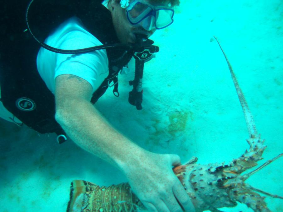 Bonaire catch & release