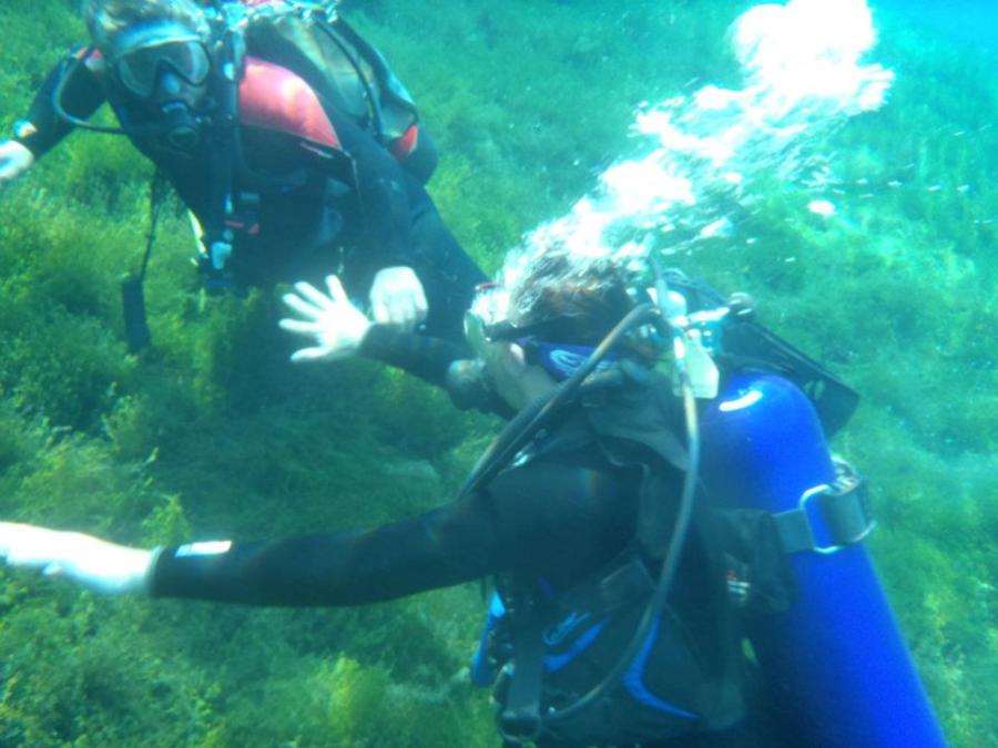 Diving Pics