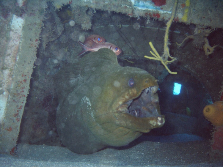 yeah I am still trying to master an underwater camera