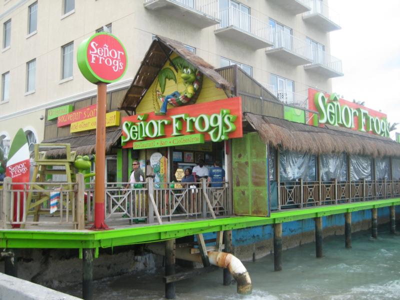 Senor Frogs