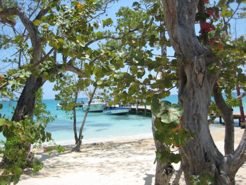 The Dive Baot at Sandal’s White House