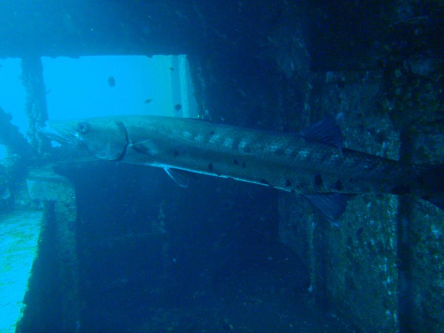 USS Oriskany