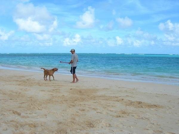 Playing with Bailey in Waimanalo