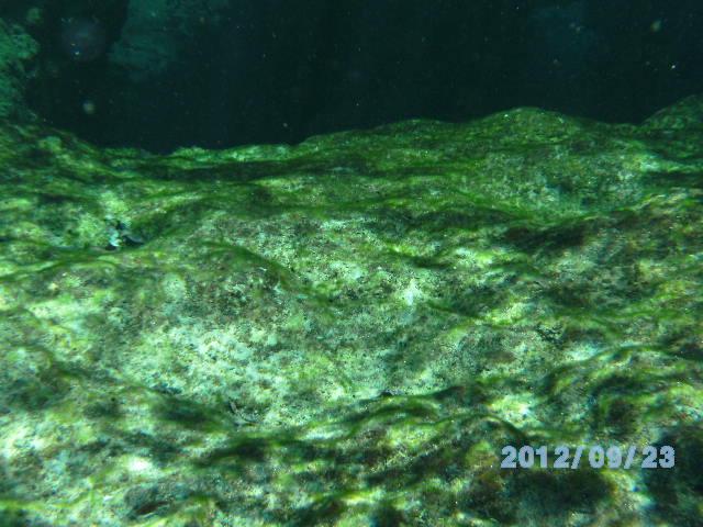 Ginnie Springs Sept 2012