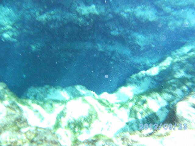 Ginnie Springs Sept 2012